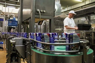 特寫 一帶一路 助波蘭奶農走上致富路