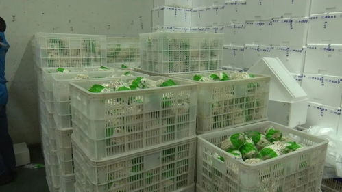 省直機(jī)關(guān)支援隊(duì)為我縣企業(yè) 牽線搭橋 擴(kuò)寬產(chǎn)品購銷渠道