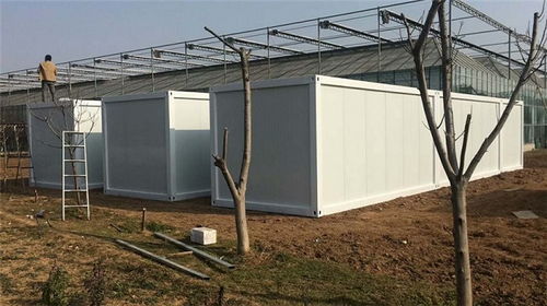 拼裝箱框架批發(fā)與租賃指南 邢臺、文安地區(qū)的優(yōu)選方案